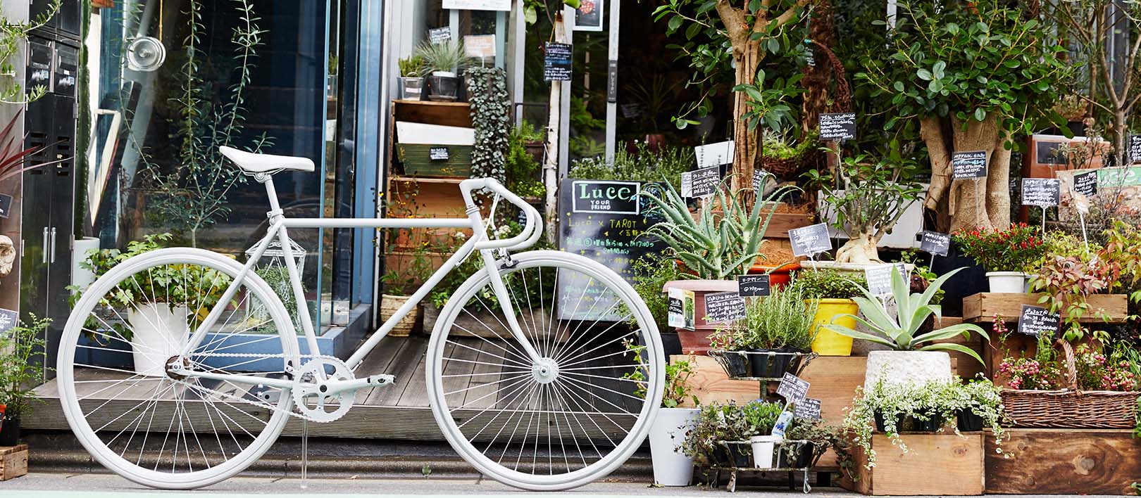 cocci pedale シングルスピード ピストバイク車・バイク・自転車